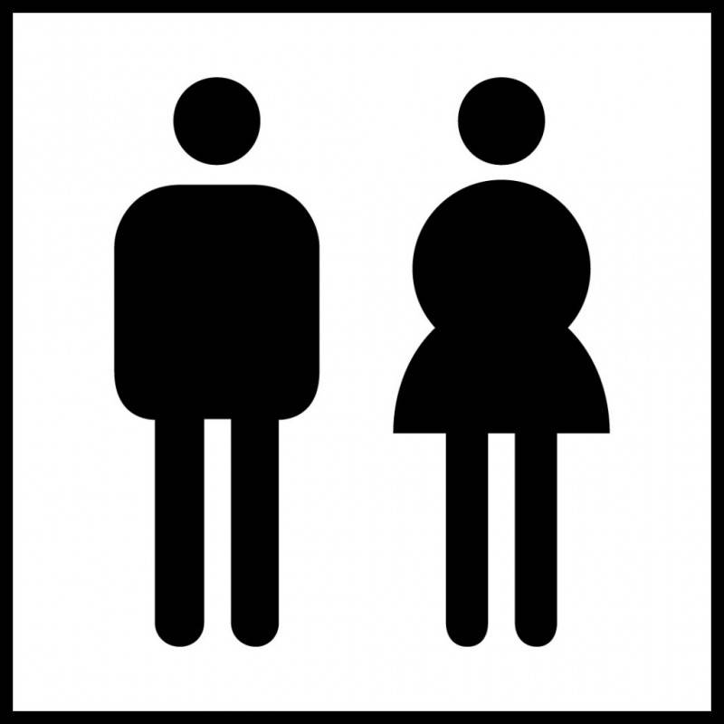 energia dalle toilette